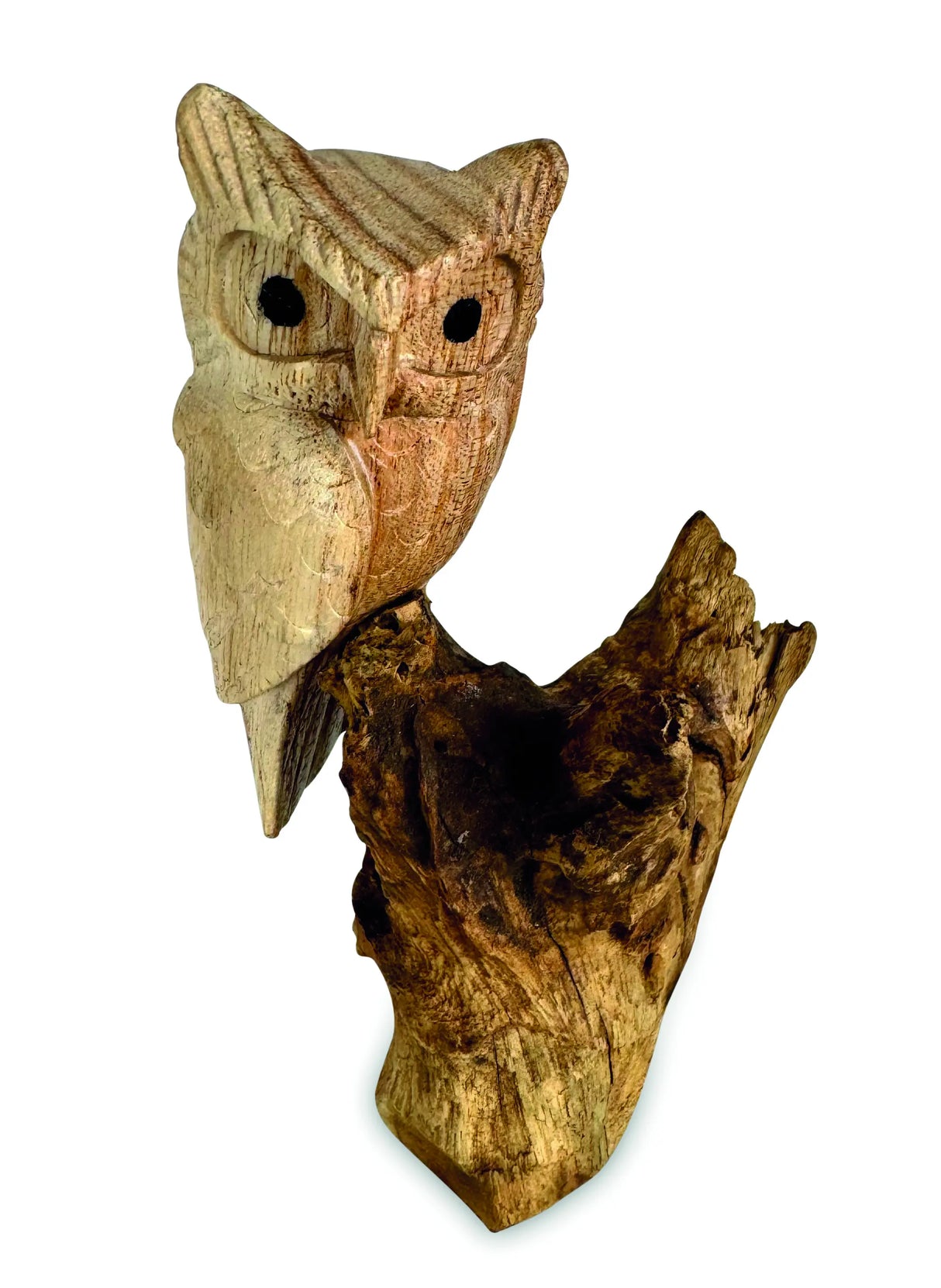 SINGLE TAWNY OWL ON DRIFTWOOD