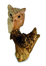 SINGLE TAWNY OWL ON DRIFTWOOD