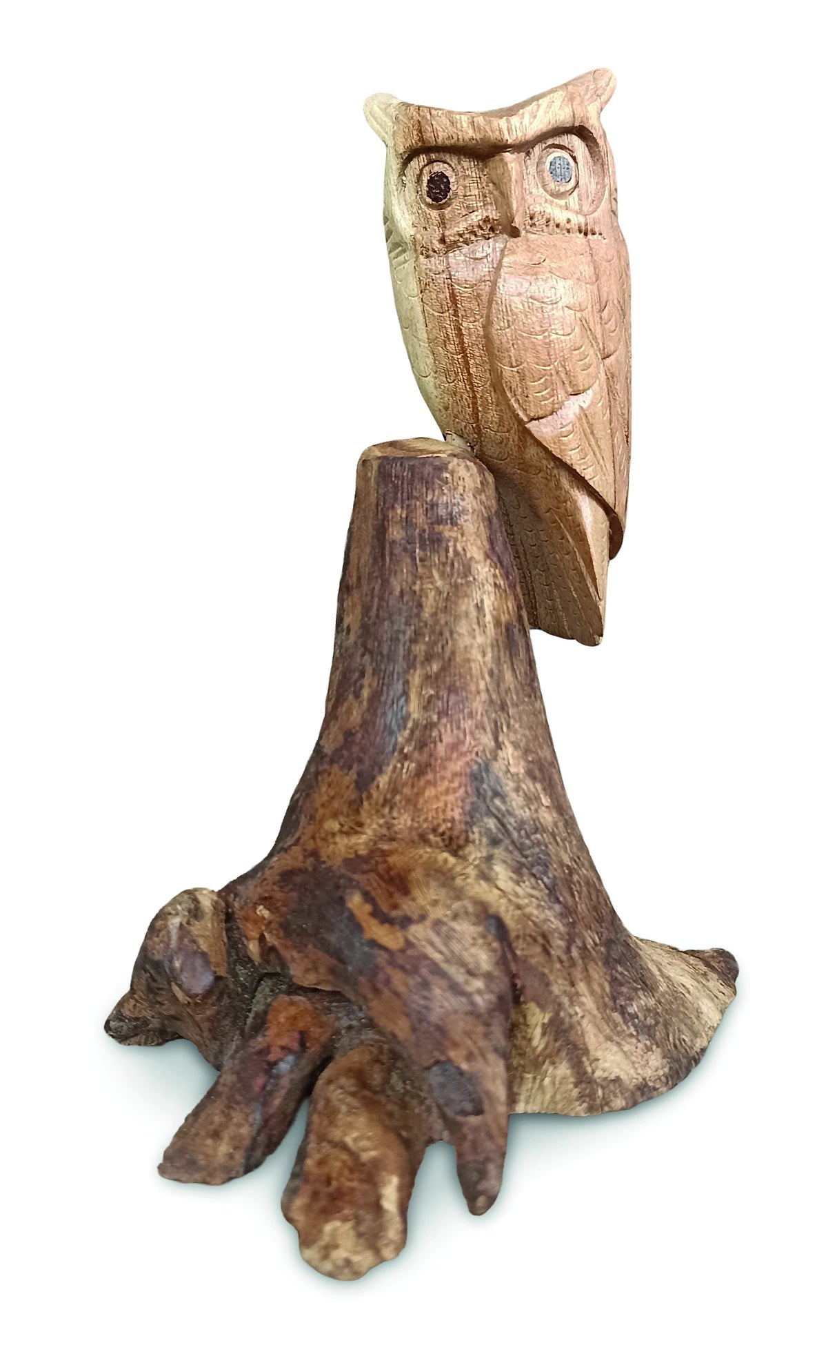 Single Tawny Owl On Driftwood
