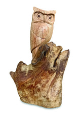 Single Tawny Owl On Driftwood