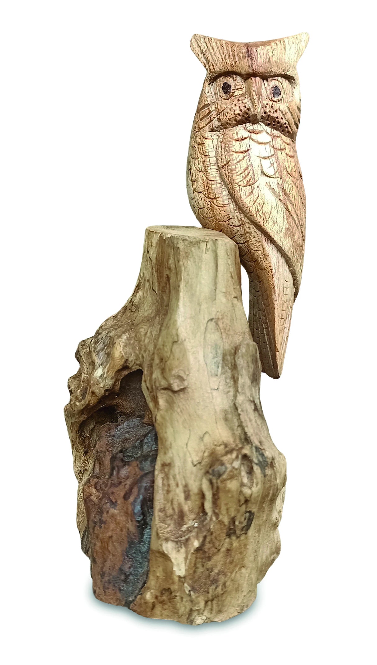 Single Tawny Owl On Driftwood