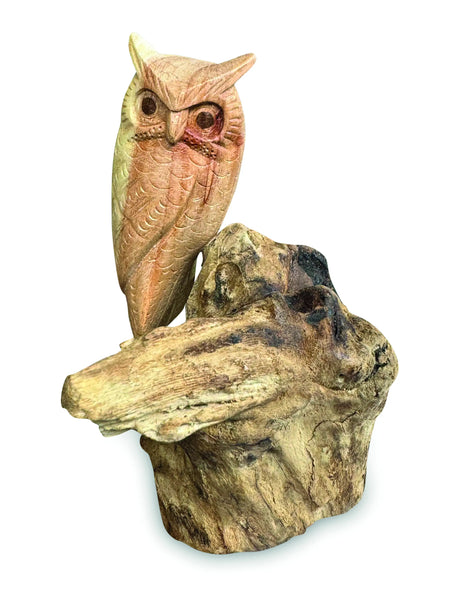 SINGLE TAWNY OWL ON DRIFTWOOD