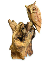 SINGLE TAWNY OWL ON DRIFTWOOD