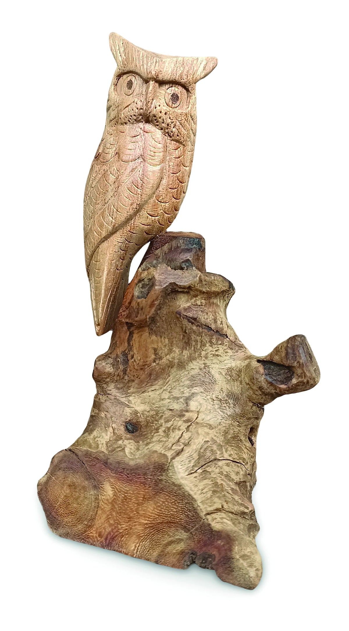 Single Tawny Owl On Driftwood