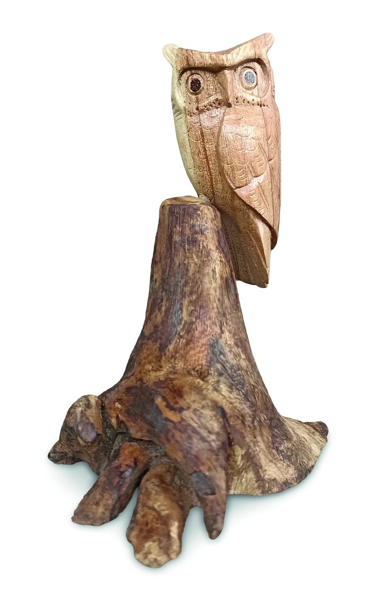 Single Tawny Owl On Driftwood