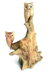 Double Tawny Owl On Driftwood