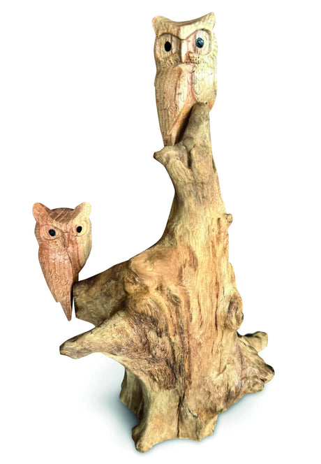 DOUBLE TAWNY OWL ON DRIFTWOOD