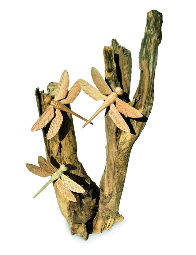 3 Dragonfly On Driftwood