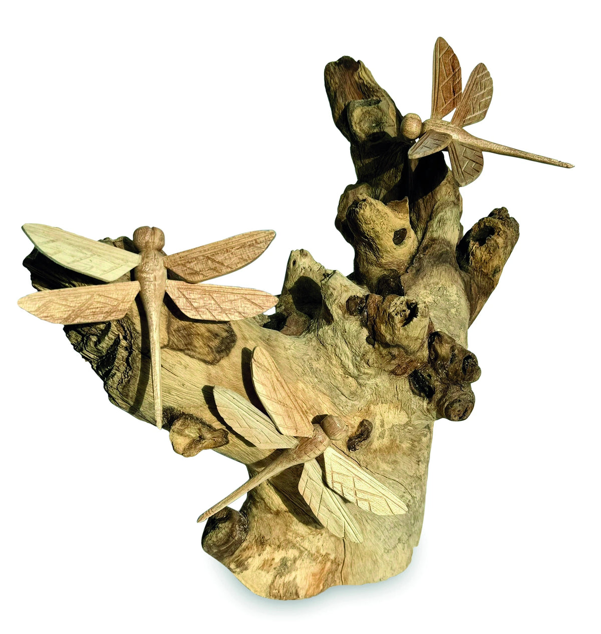 3 Dragonfly On Driftwood