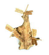 3 Dragonfly On Driftwood