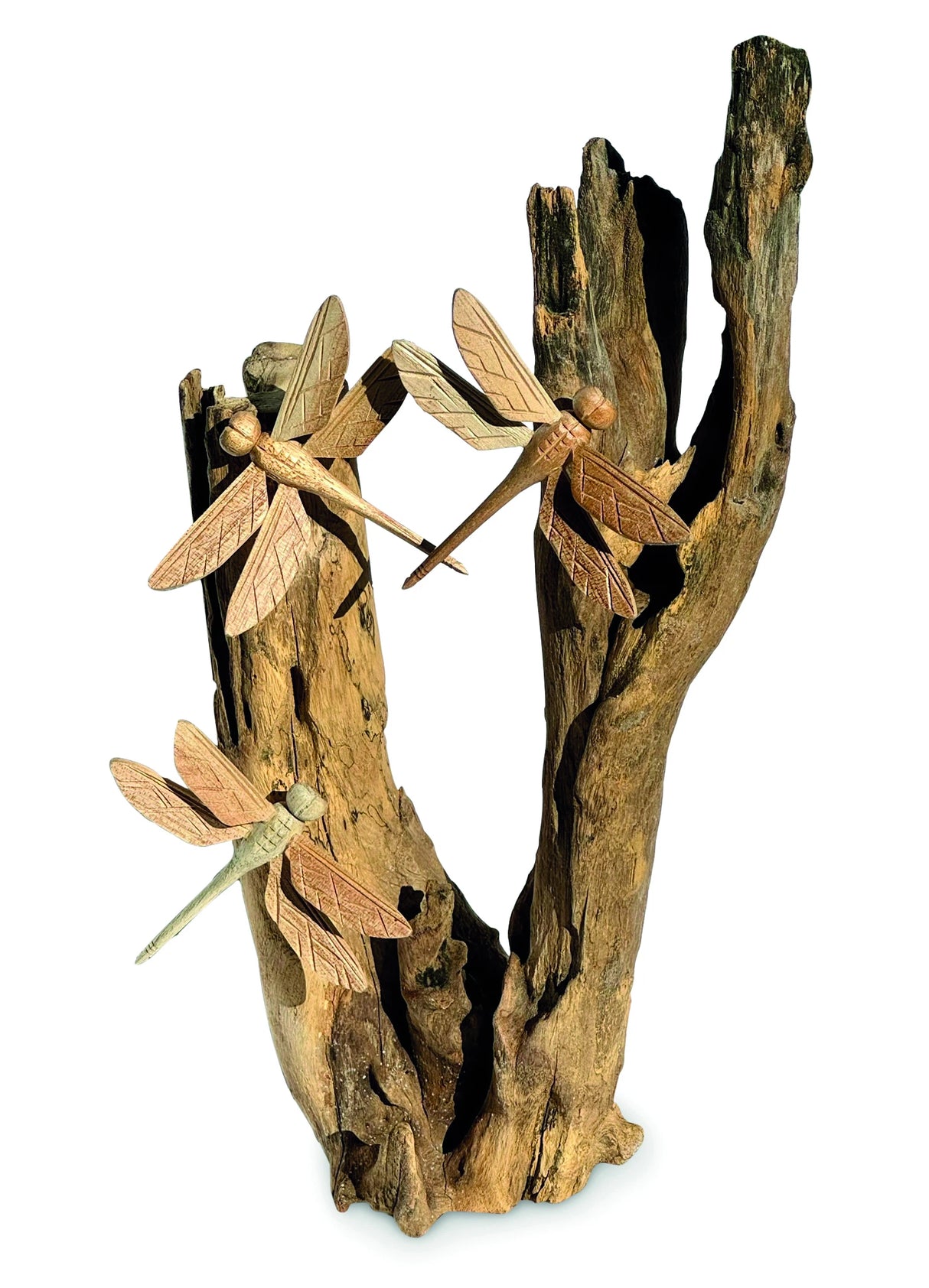 3 Dragonfly On Driftwood