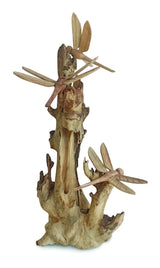 3 Dragonfly On Driftwood