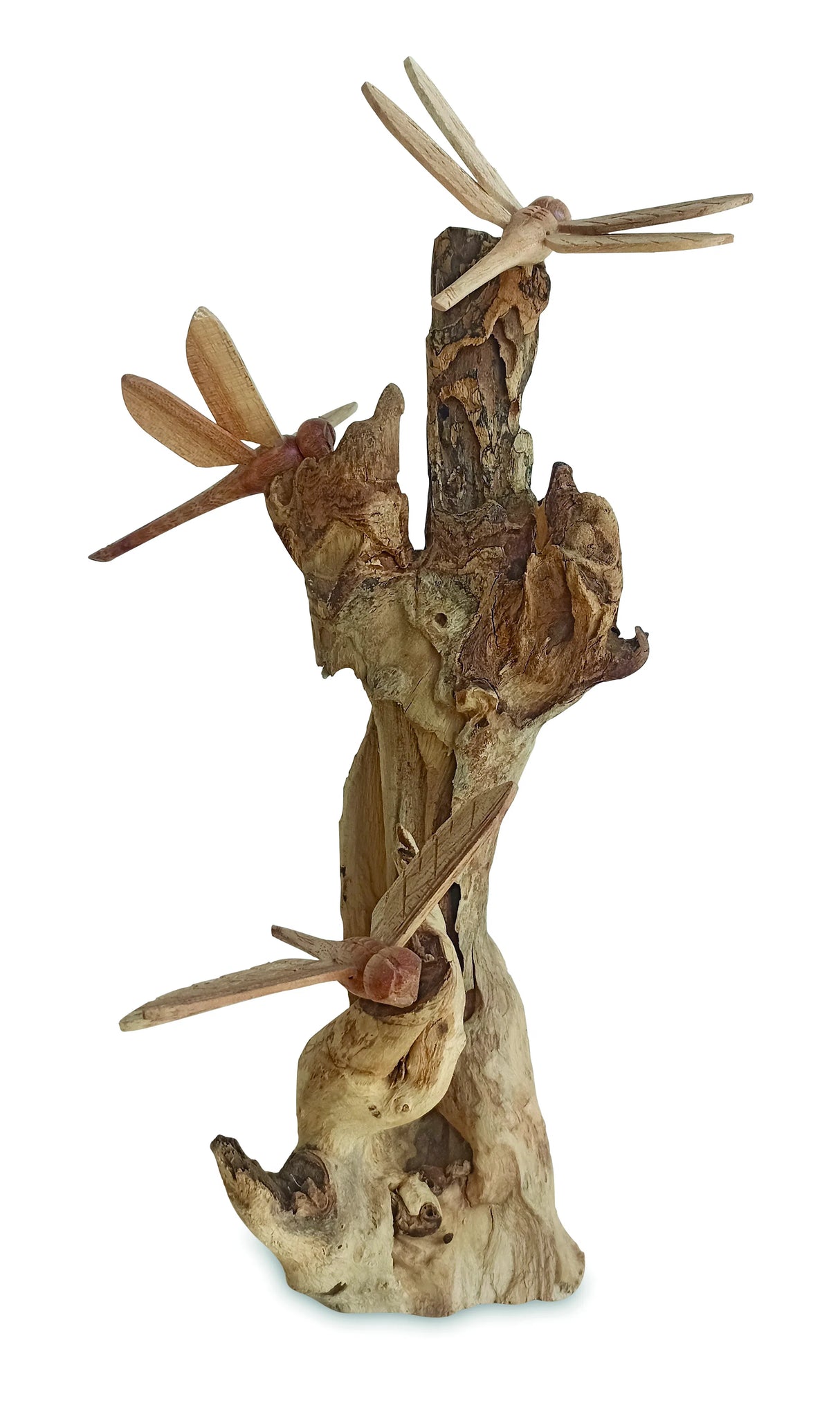 3 Dragonfly On Driftwood