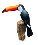 TOUCAN