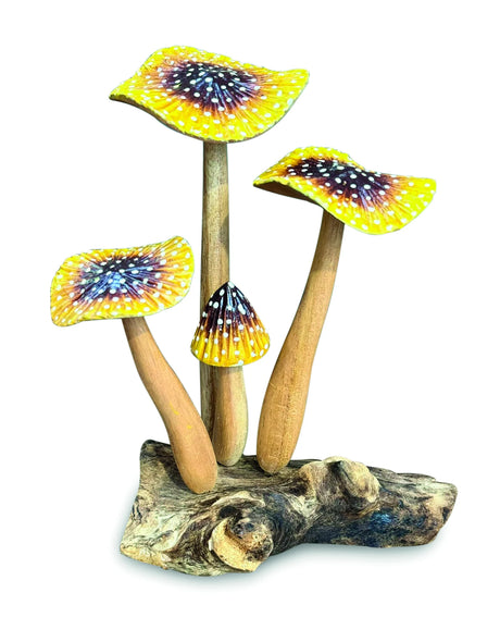 YELLOW BLUSHER 4x MUSHROOMS 20-22cm