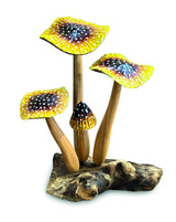 Yellow Blusher 4 X Mushrooms 20-22cm