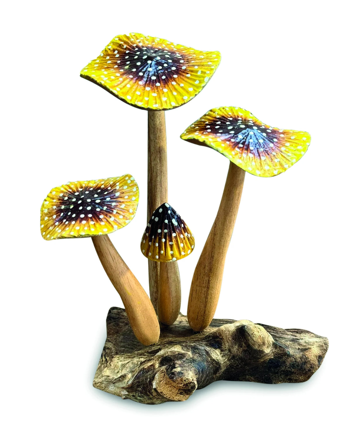 YELLOW BLUSHER 4x MUSHROOMS 20-22cm