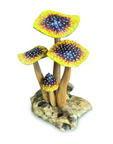 YELLOW BLUSHER 4x MUSHROOMS 20-22cm