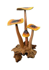 YELLOW BLUSHER 4x MUSHROOMS 20-22cm