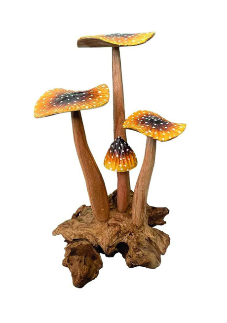 YELLOW BLUSHER 4x MUSHROOMS 20-22cm