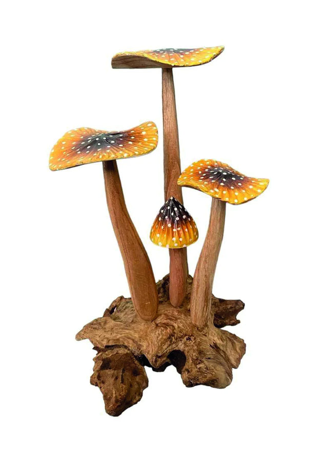YELLOW BLUSHER 4x MUSHROOMS 20-22cm