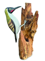Green Woodpecker On Tree 25cm