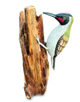 Green Woodpecker On Tree 25cm
