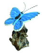 Holly Blue Butterfly On Driftwood W20cm