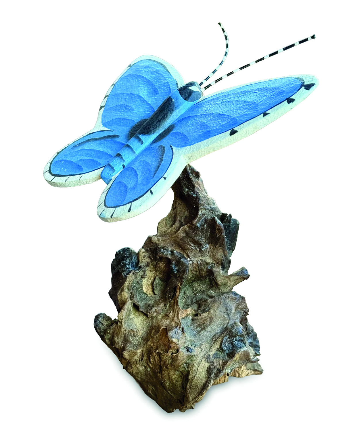 Holly Blue Butterfly On Driftwood W20cm