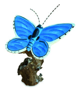 Holly Blue Butterfly On Driftwood W20cm