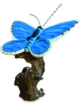 Holly Blue Butterfly On Driftwood W20cm