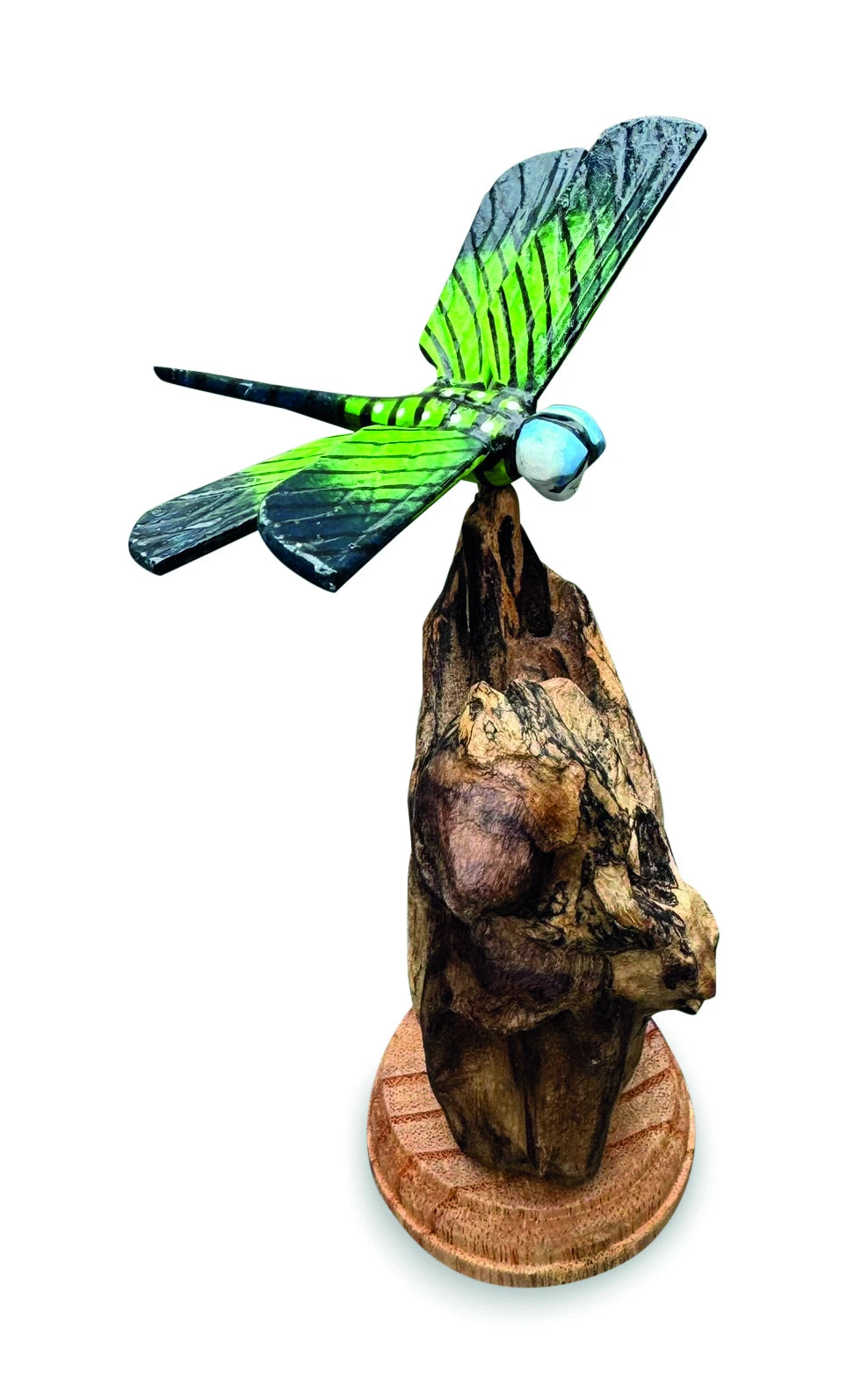 Single Emperor Dragonfly On Driftwood H14cm