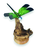 Single Emperor Dragonfly On Driftwood H14cm