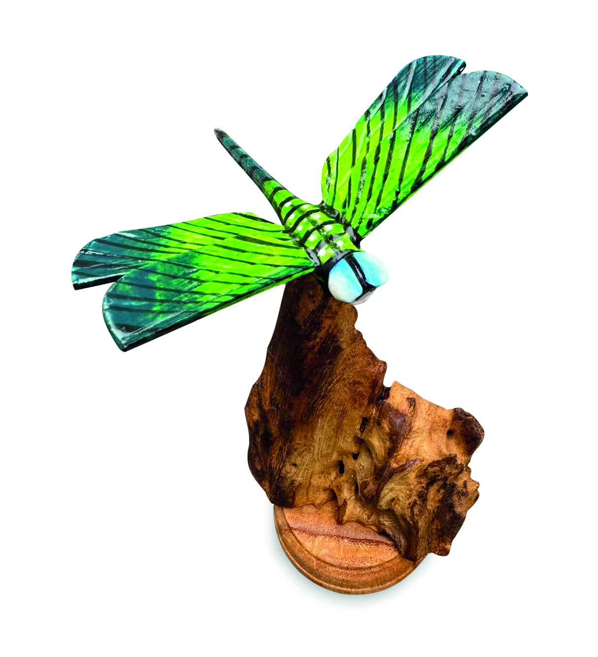 Single Emperor Dragonfly On Driftwood H14cm