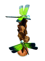 Double Emperor Dragonfly On Driftwood H18cm