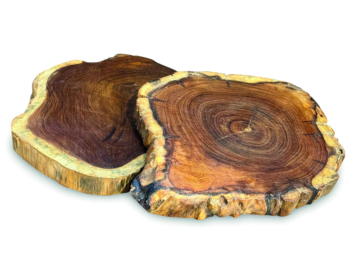 Tree Root Slice Placemats Small 20-25cm