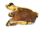 Tree Root Slice Placemats Small 20-25cm