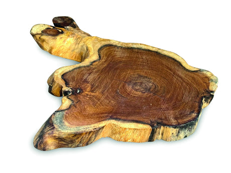Tree Root Slice Placemats Small 20-25cm