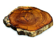 Tree Root Slice Coaster 10-17cm Dia