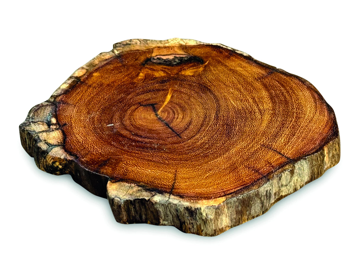 Tree Root Slice Coaster 10-17cm Dia