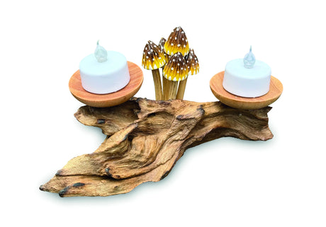 3 Pointed Yellow Cap Mushrooms With Double Candle Holders Low