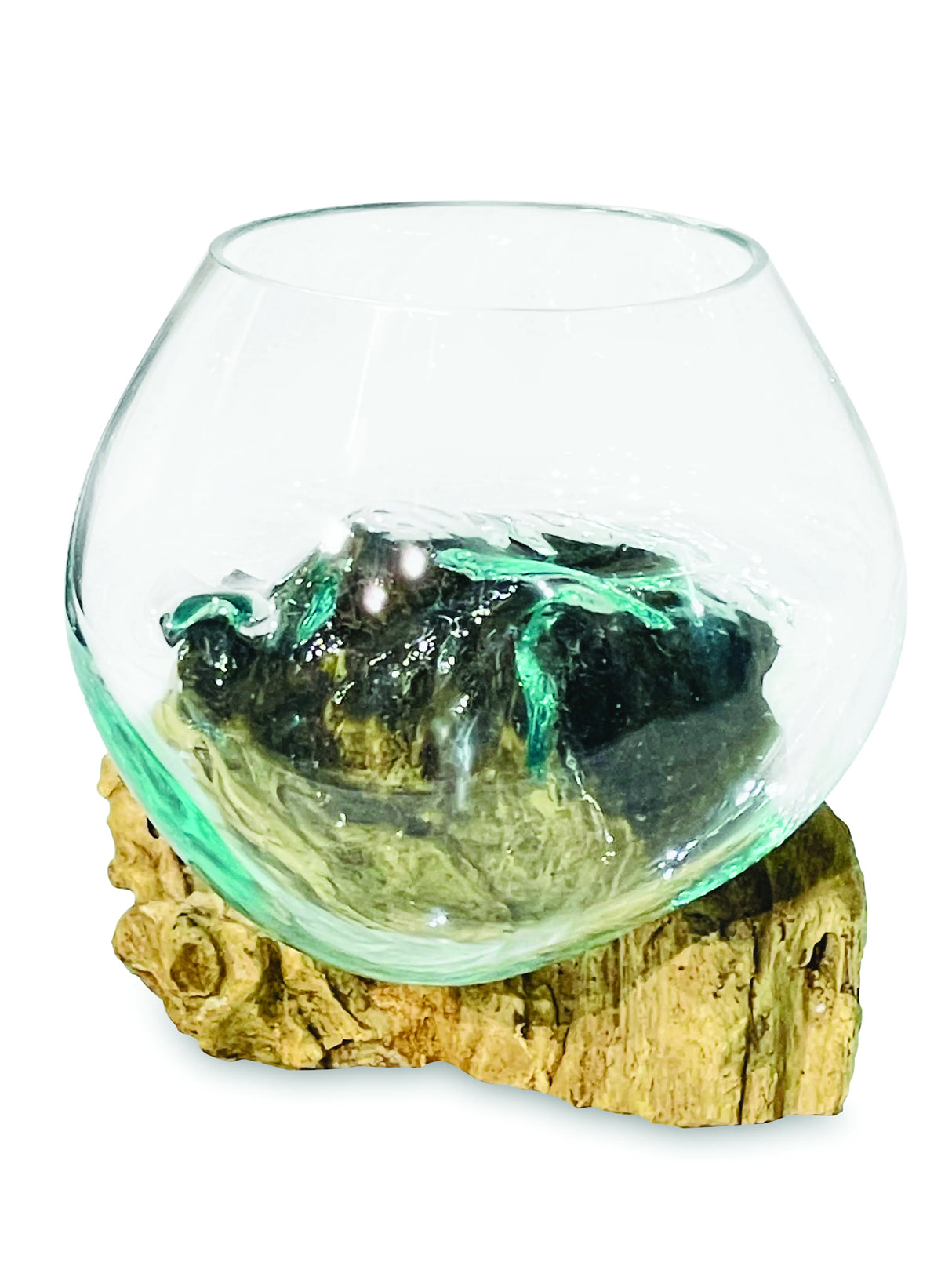 Root With Glass Bowl Small
