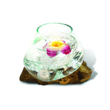 Root With Glass Bowl Small