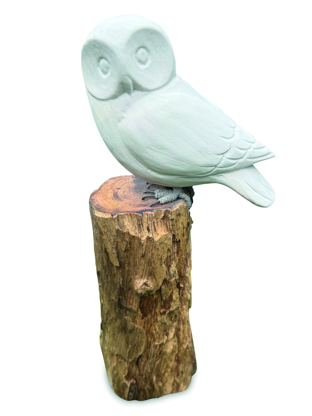 Paint Your Own Single Owl