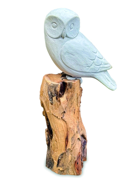 Paint Your Own Single Owl