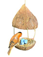 Hanging Robins Nest