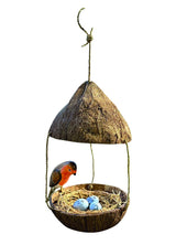 Hanging Robins Nest