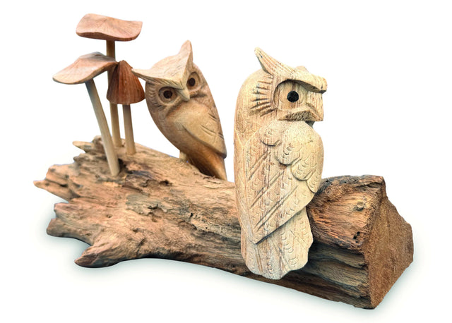 Twin Owls In Mushroom Garden