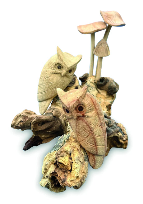 TWIN OWLS IN  MUSHROOMS GARDEN