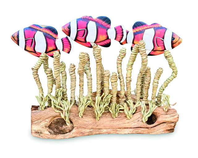 Clownfish Shoal In Seagrass
